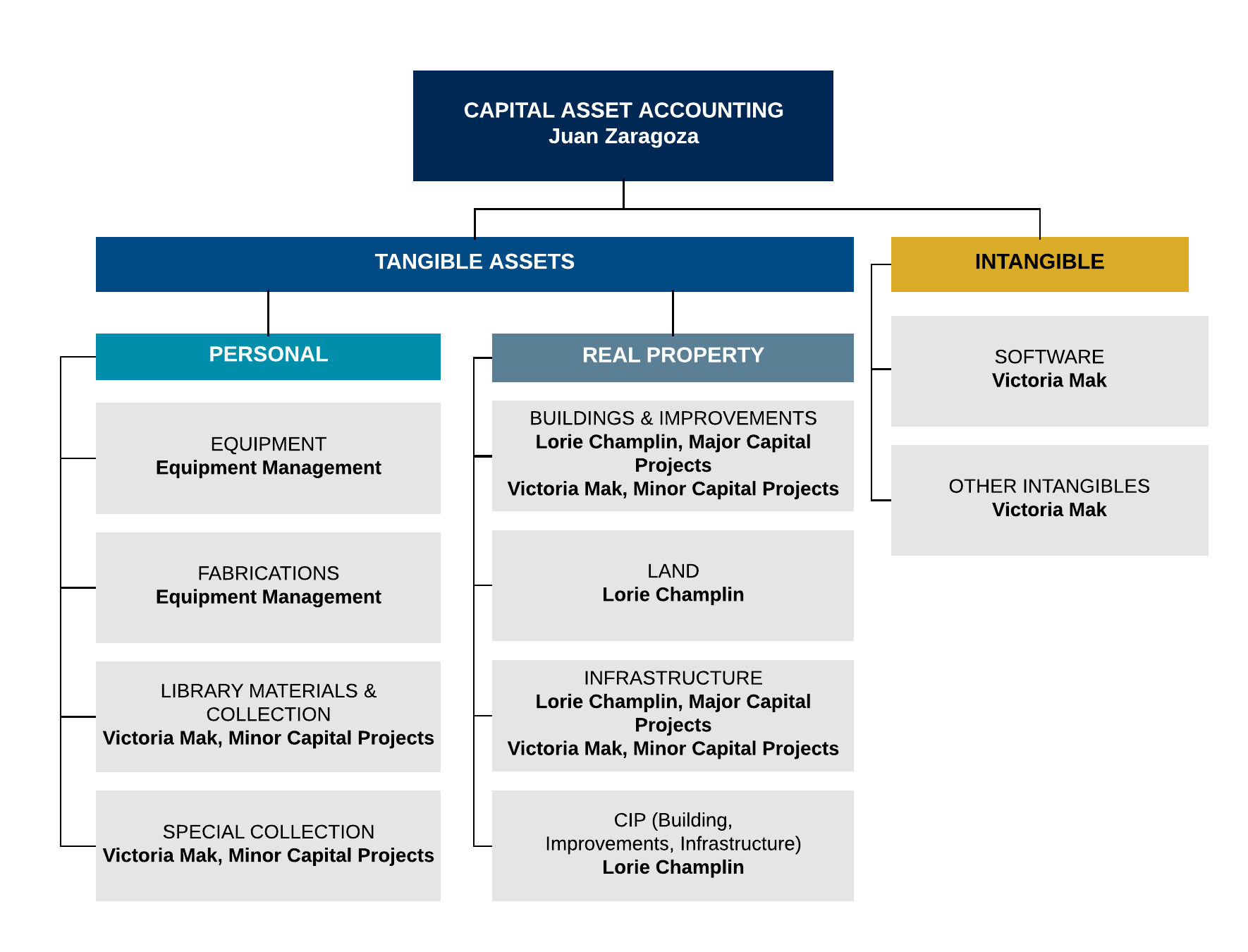 chart of structure for capital asset accounting team